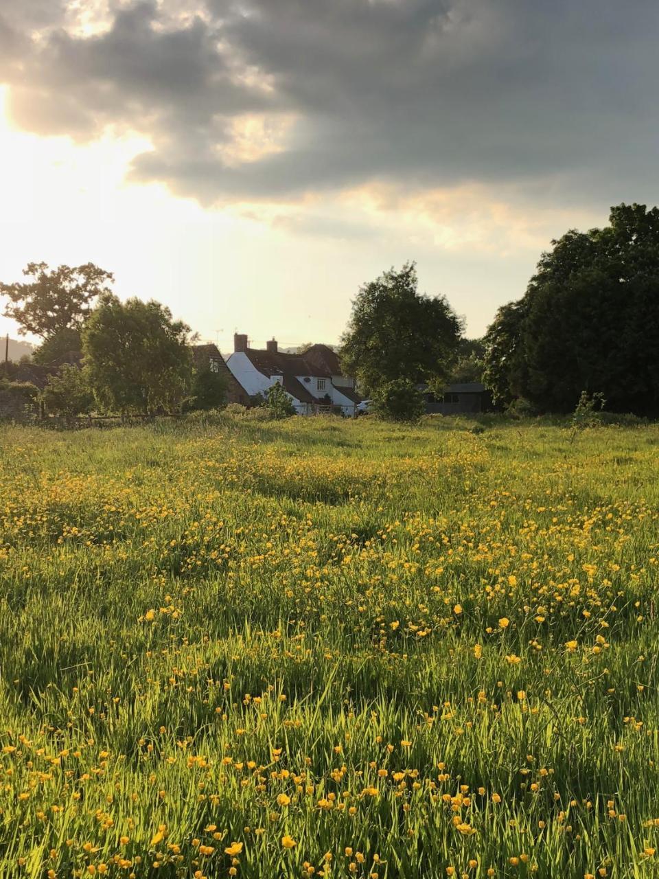 Home Farm Birtsmorton Esterno foto