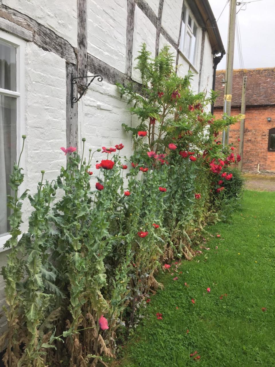 Home Farm Birtsmorton Esterno foto